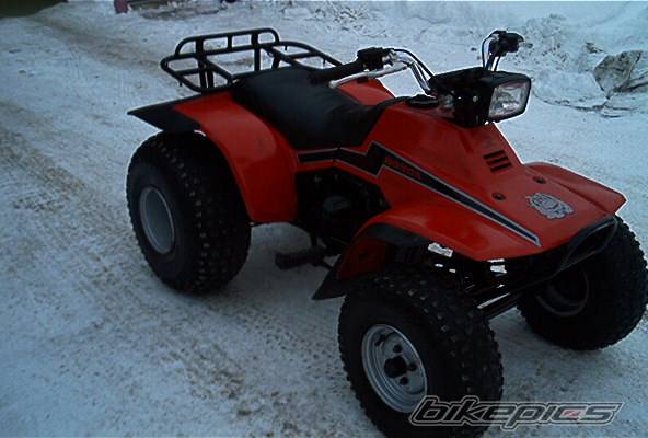 Photo 104940
