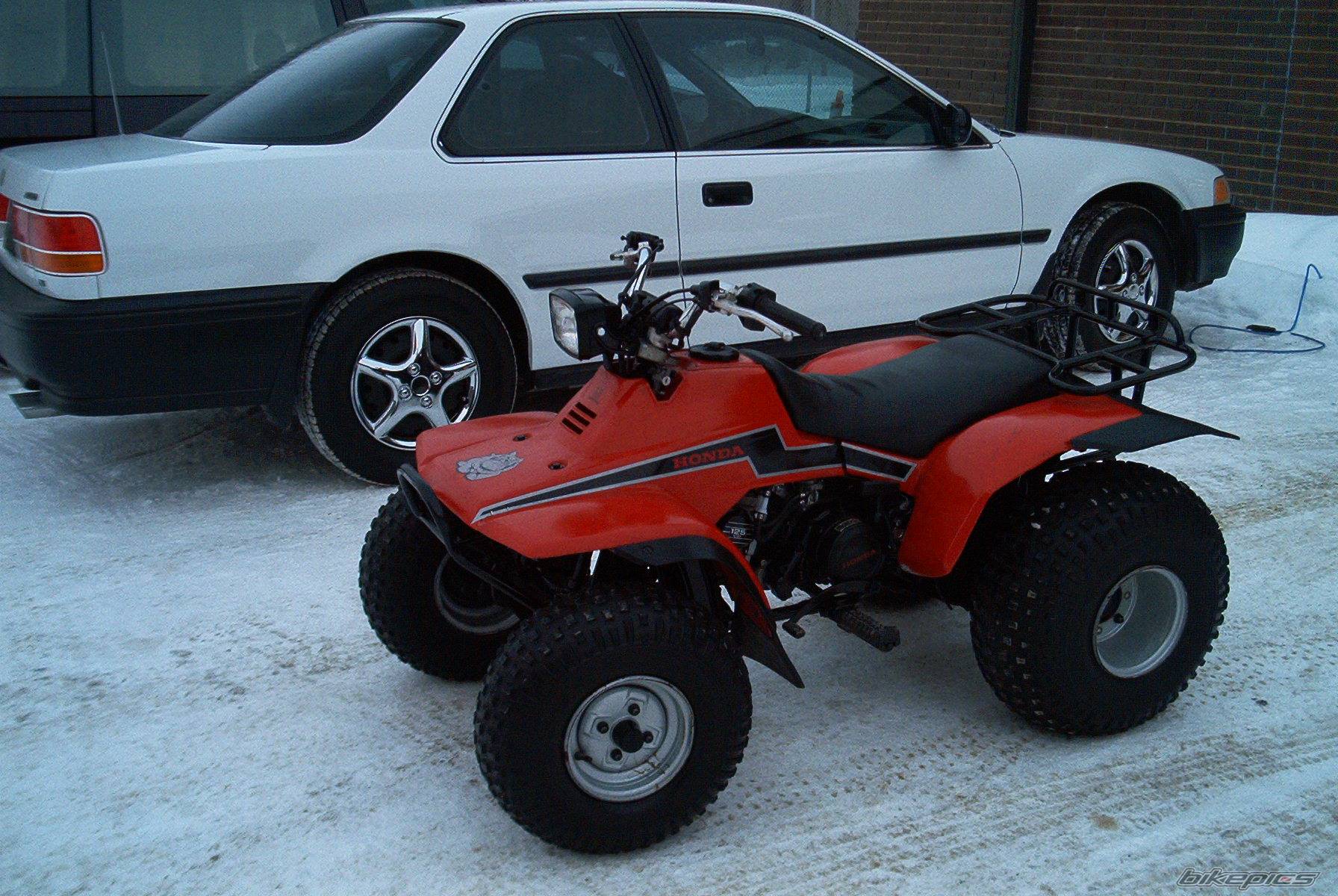 Photo 104942