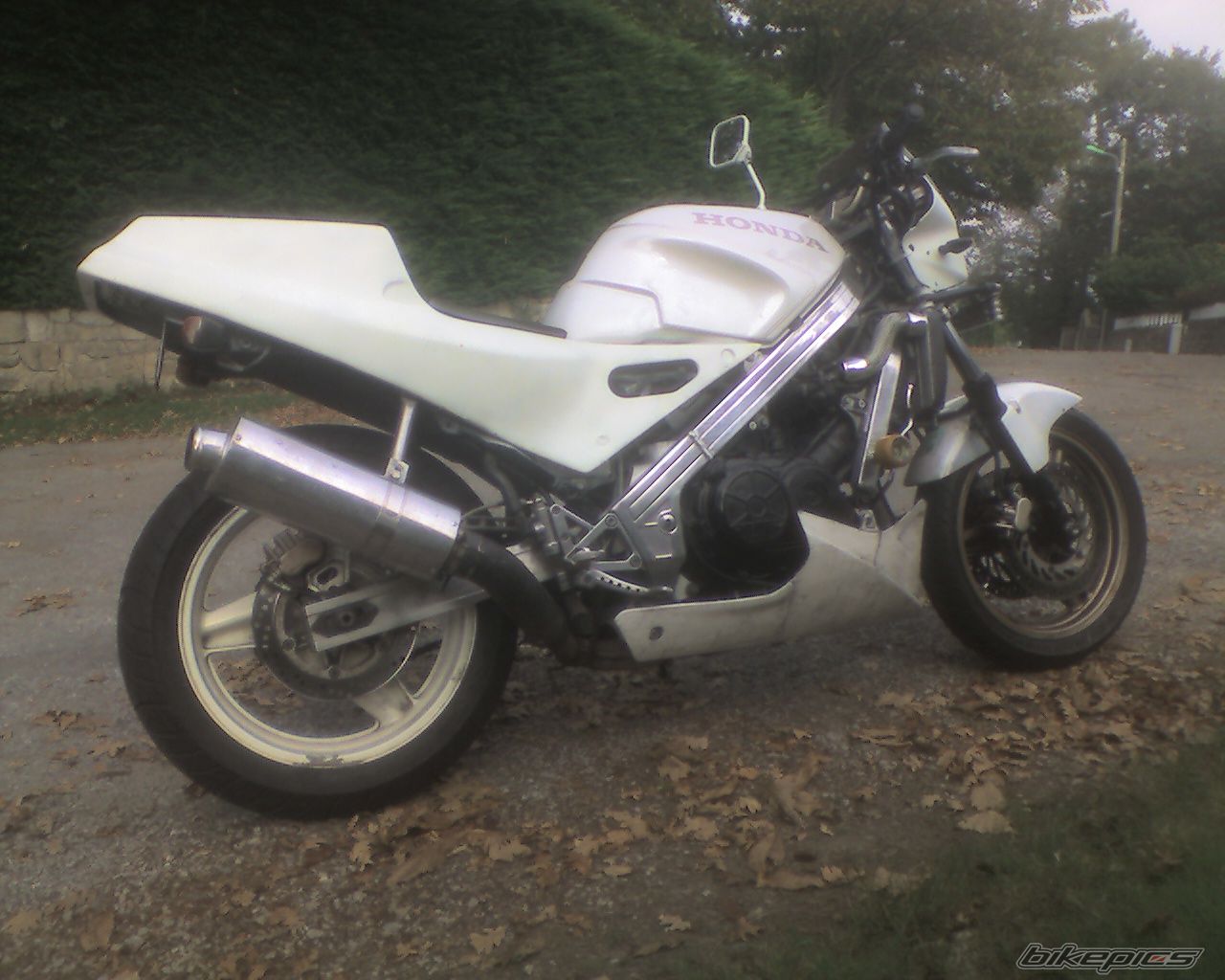 Bike Photo 1049526