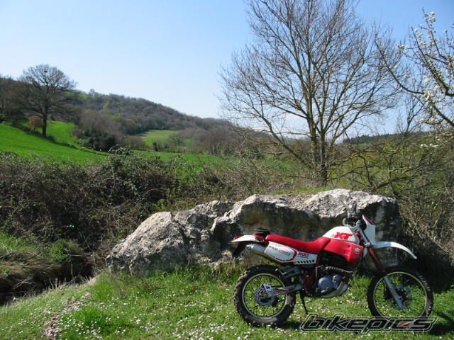 Photo 1049550