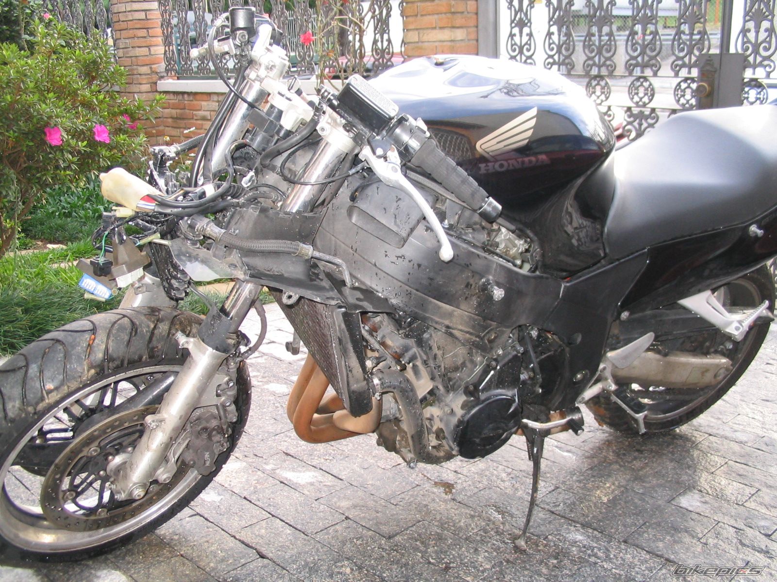 Photo 1049679