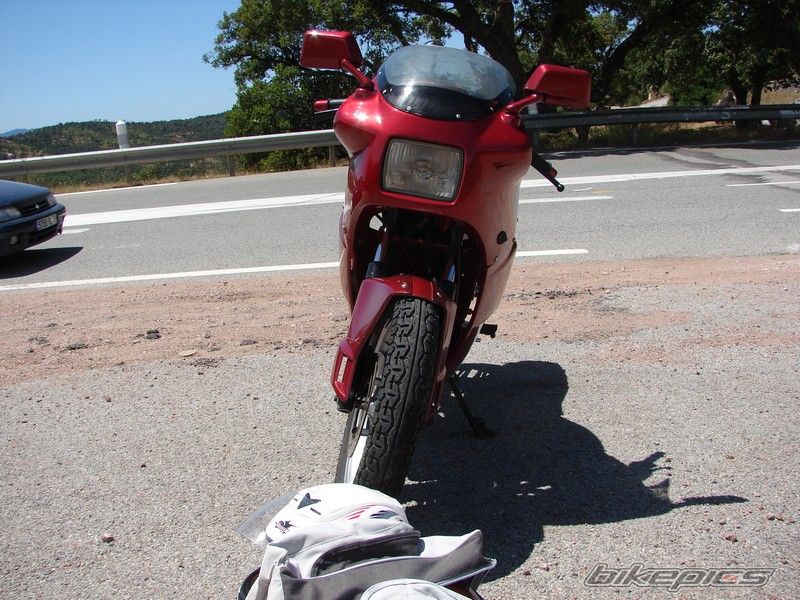 Photo 1049982