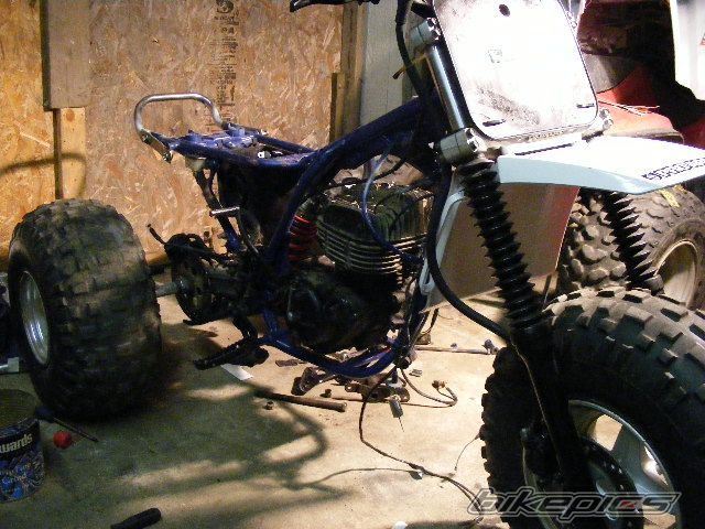 Photo 1050075
