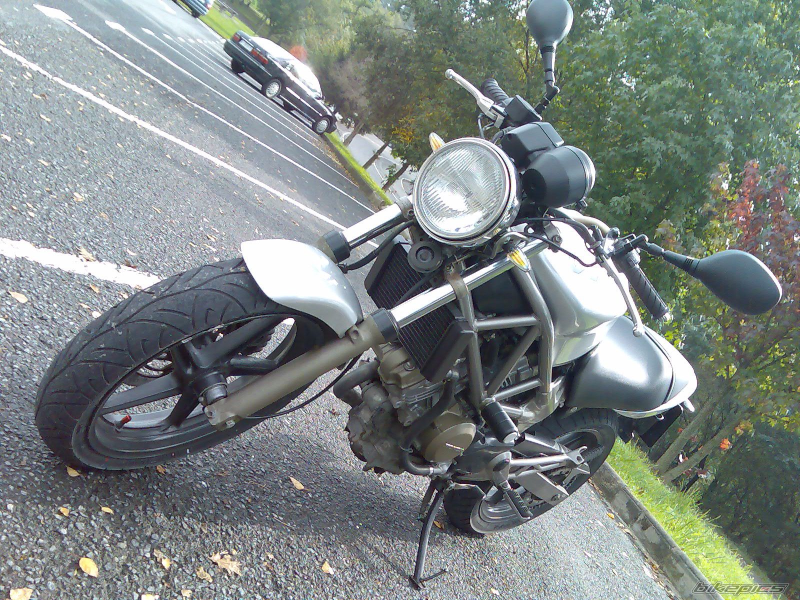 Photo 1050290