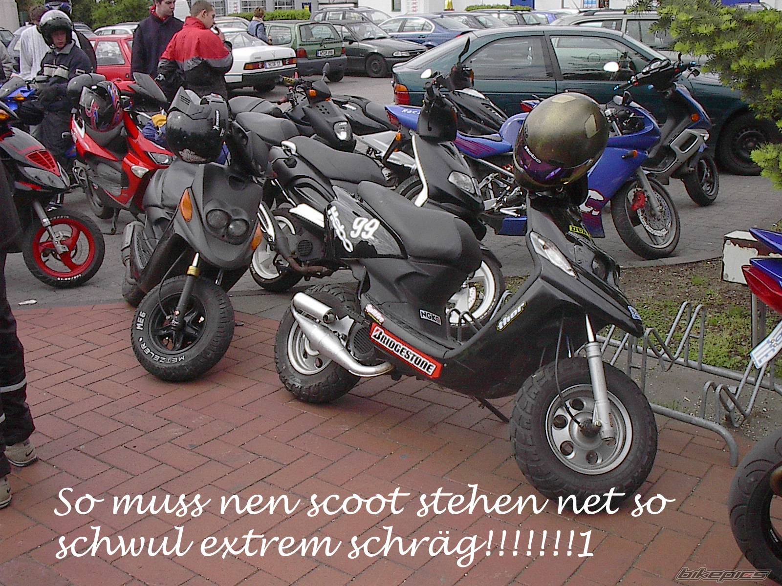 Photo 105031