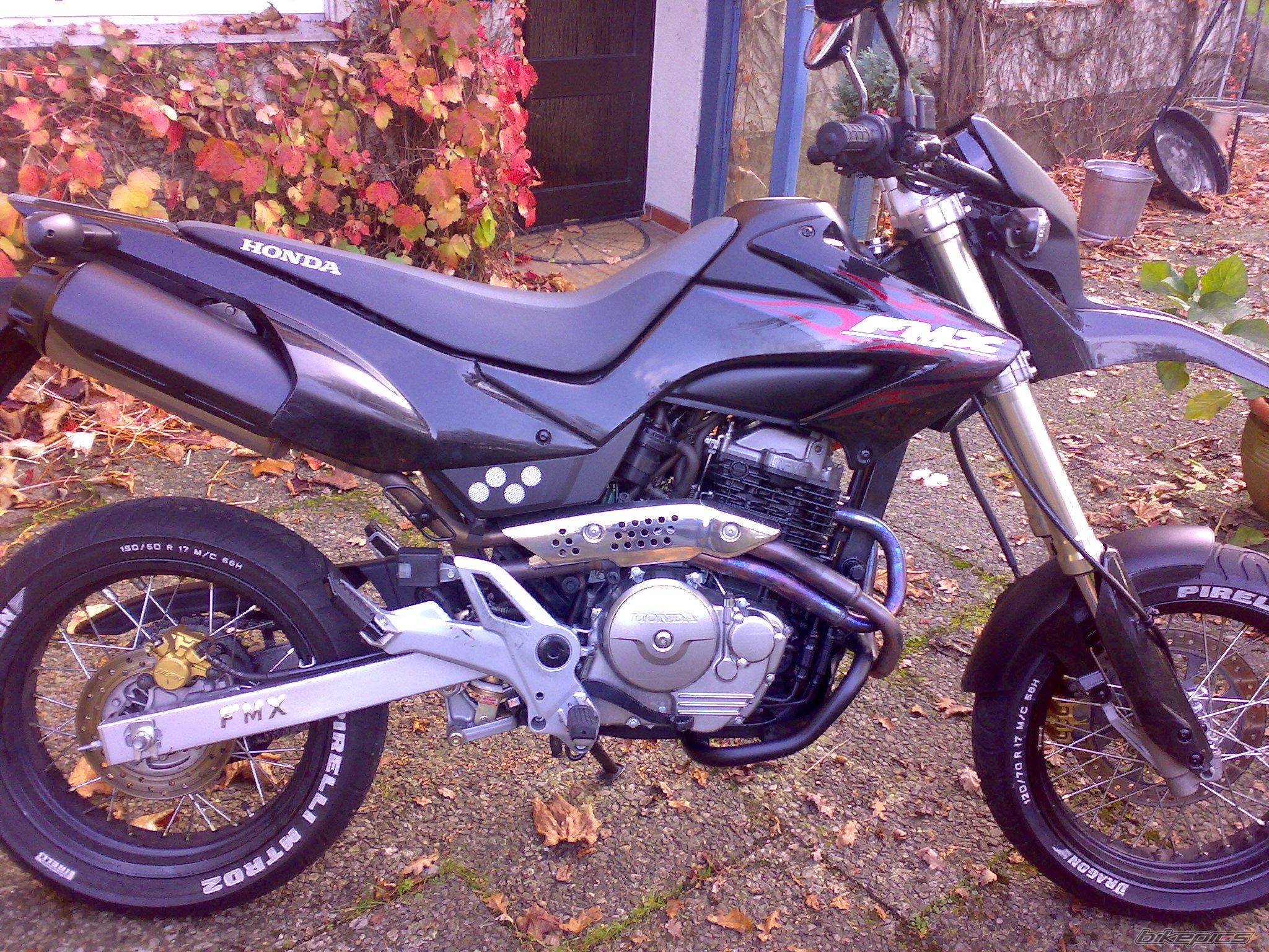 Photo 1050386