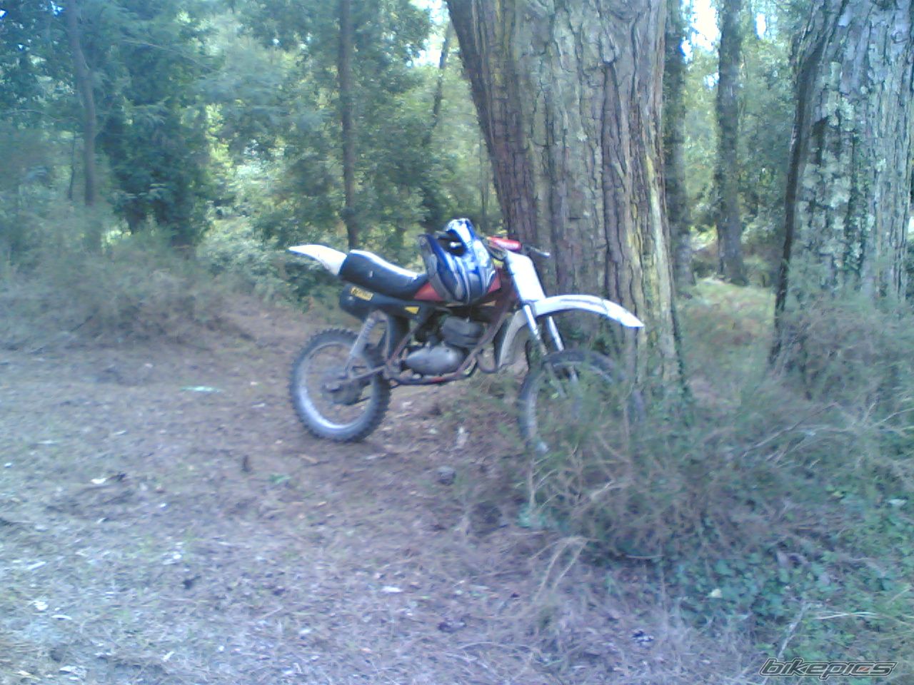 Bike Photo 1050555