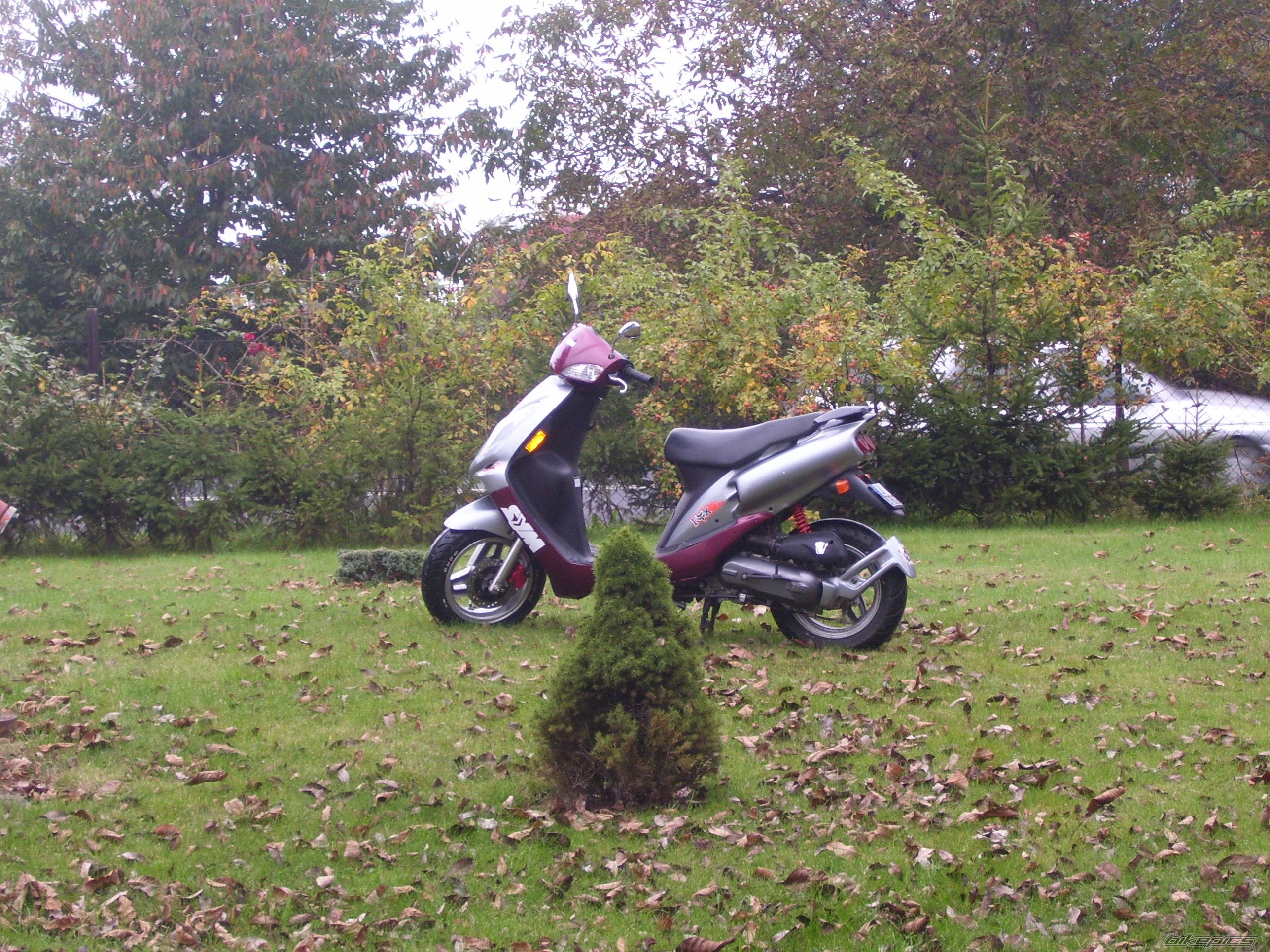 Photo 1050585