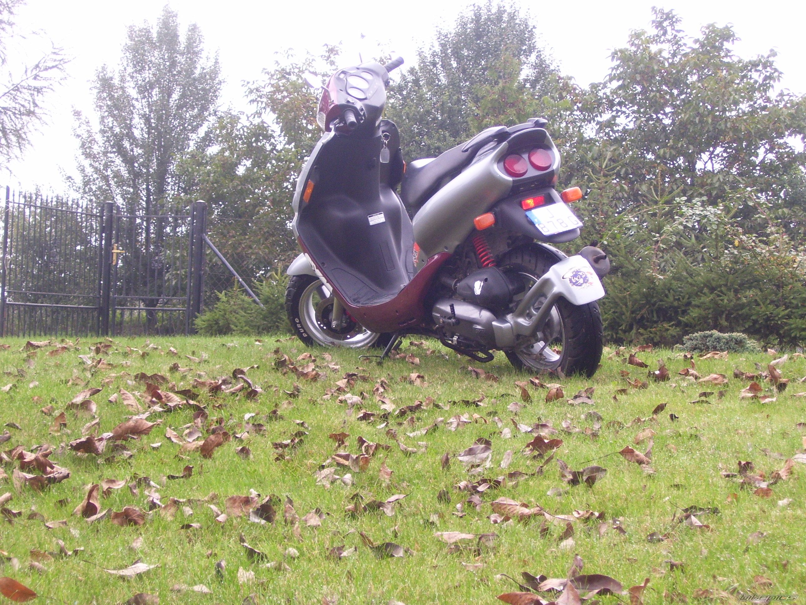 Photo 1050610