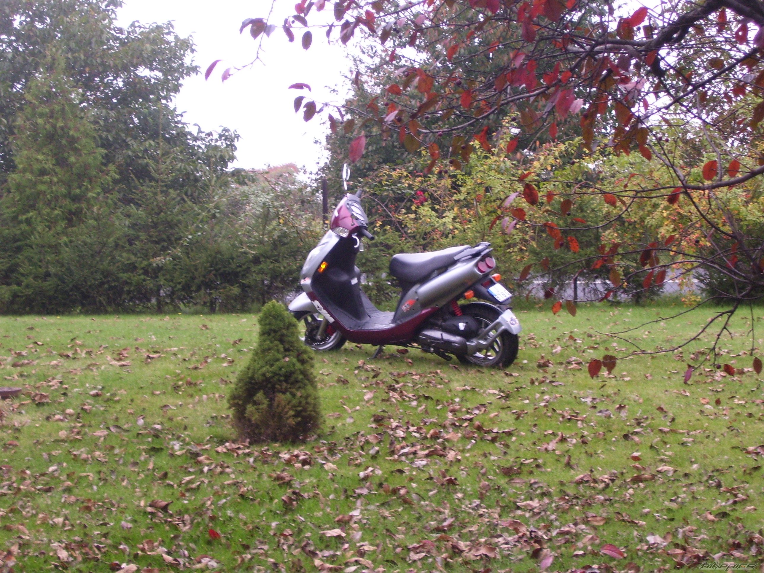 Photo 1050614