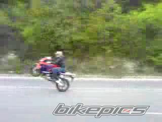 Photo 1050803