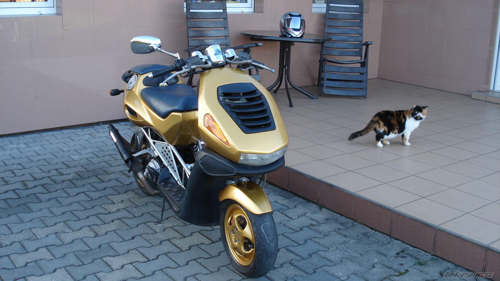 Bike Photo 1050982