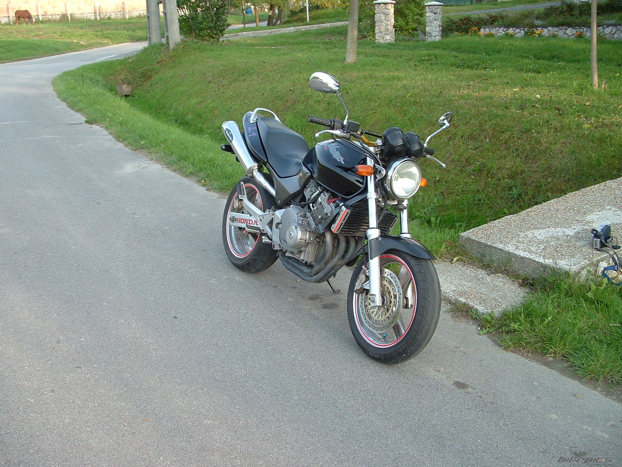 Photo 1051013
