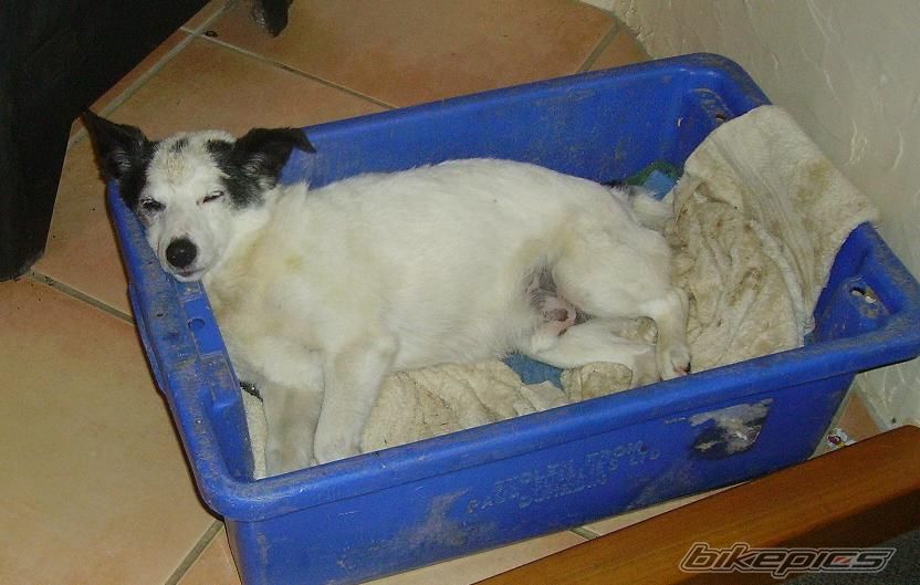 Photo 1051170
