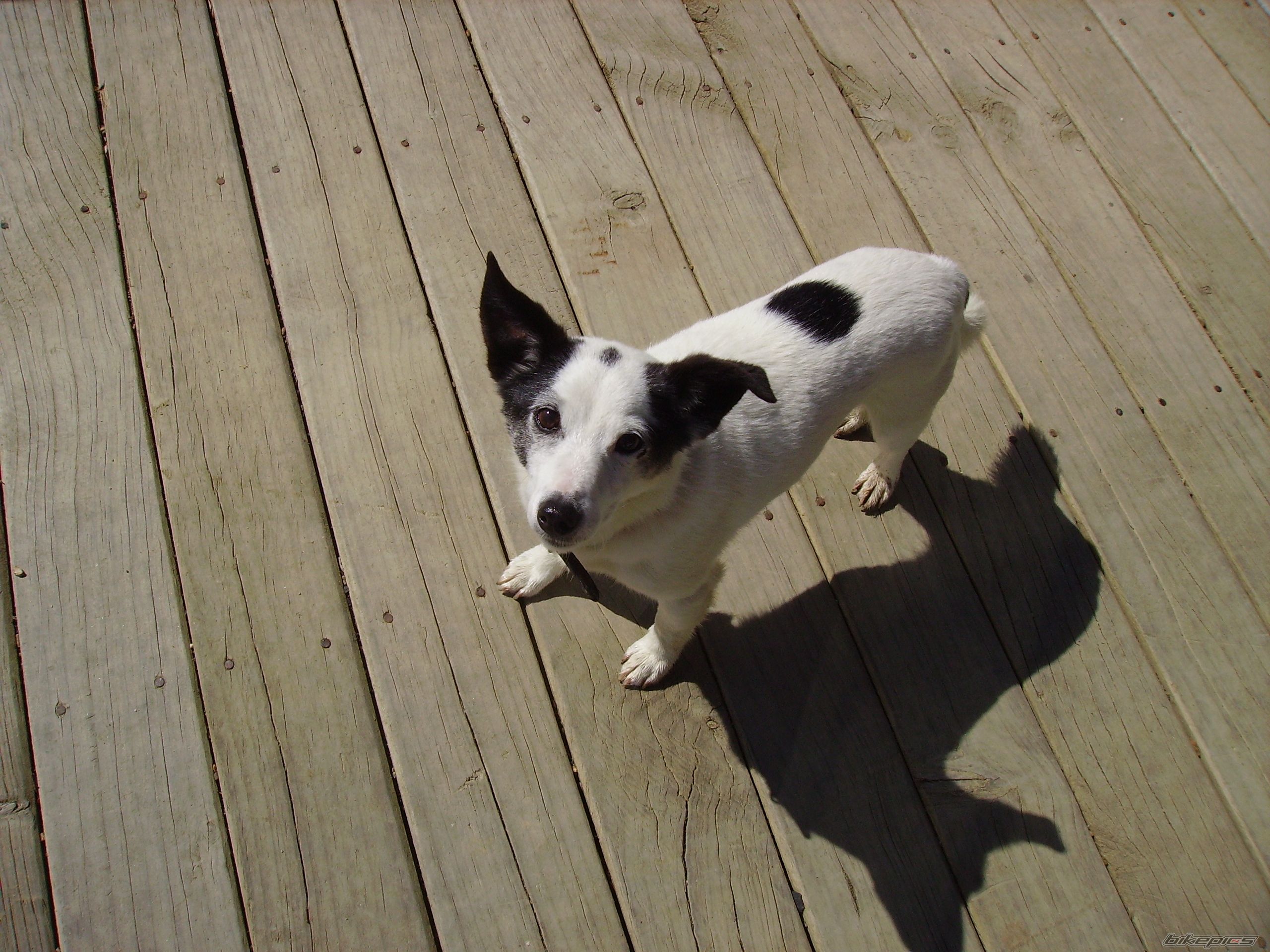Photo 1051172