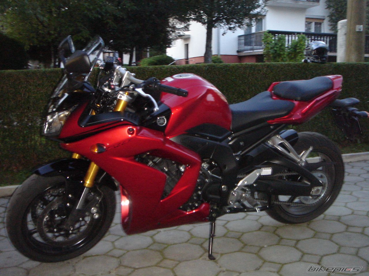 Photo 1051452