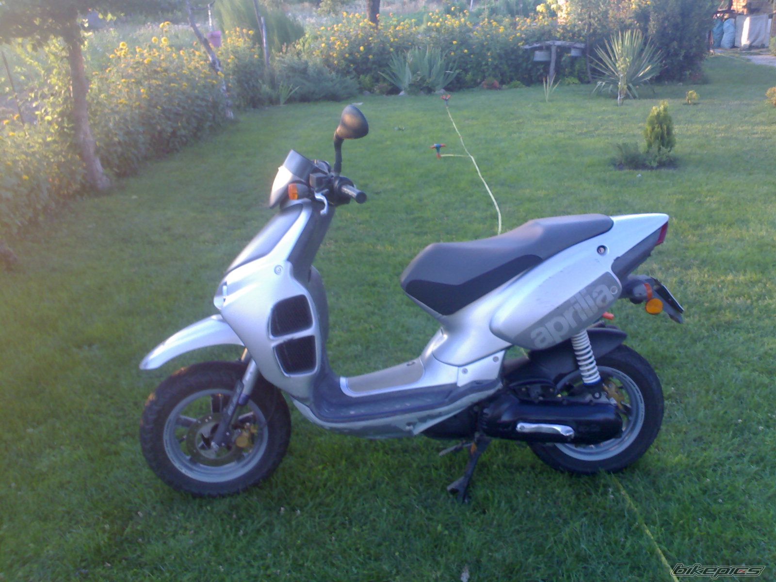 Photo 1051536