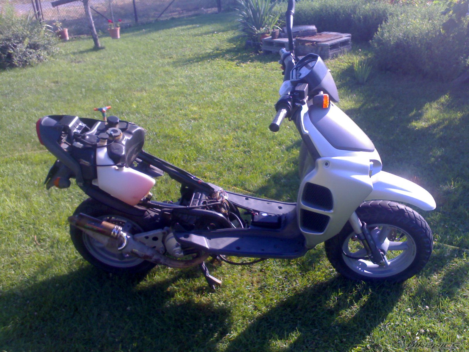 Photo 1051539