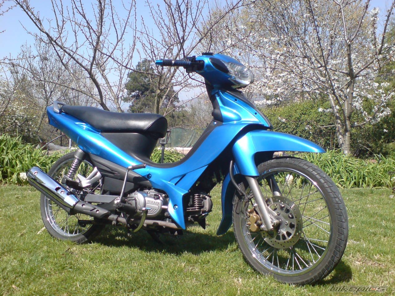 Photo 1051723