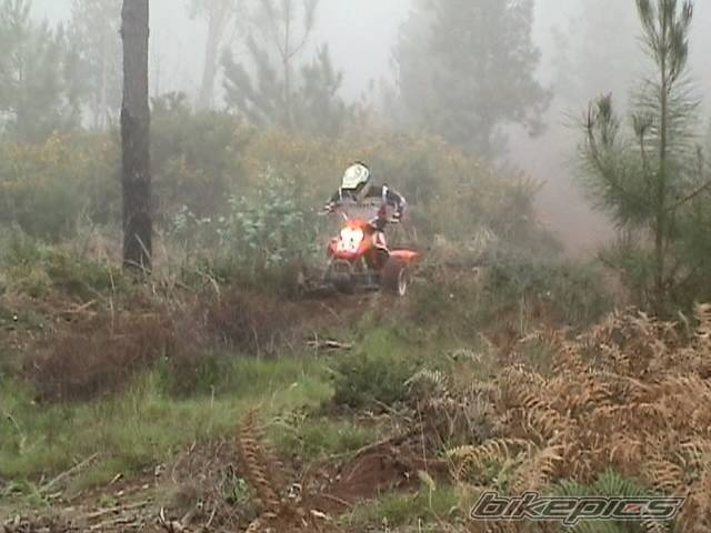 Bike Photo 105179