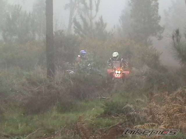 Bike Photo 105184