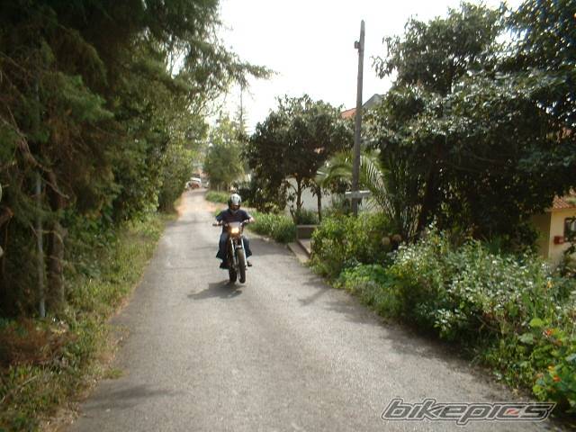 Photo 105186