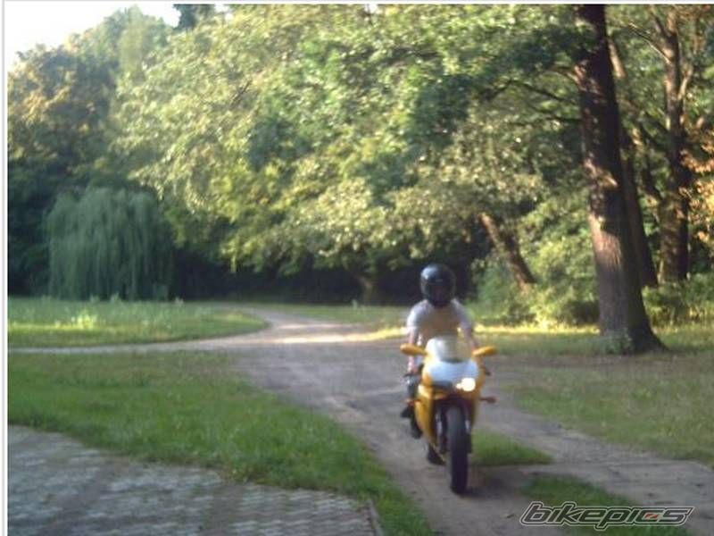 Photo 1051900