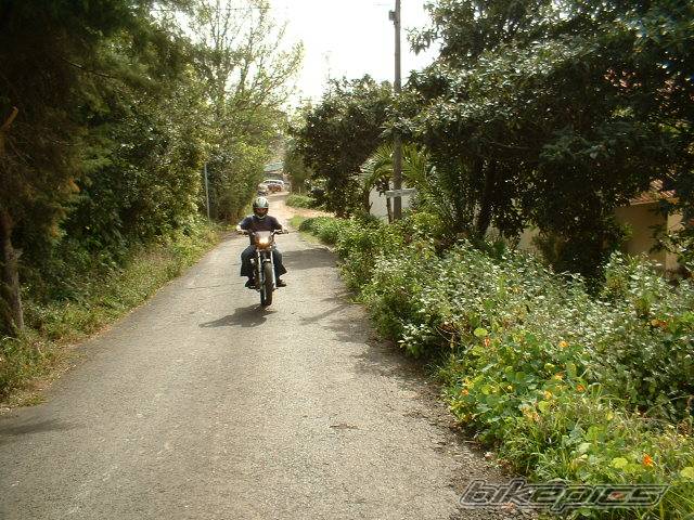 Photo 105194