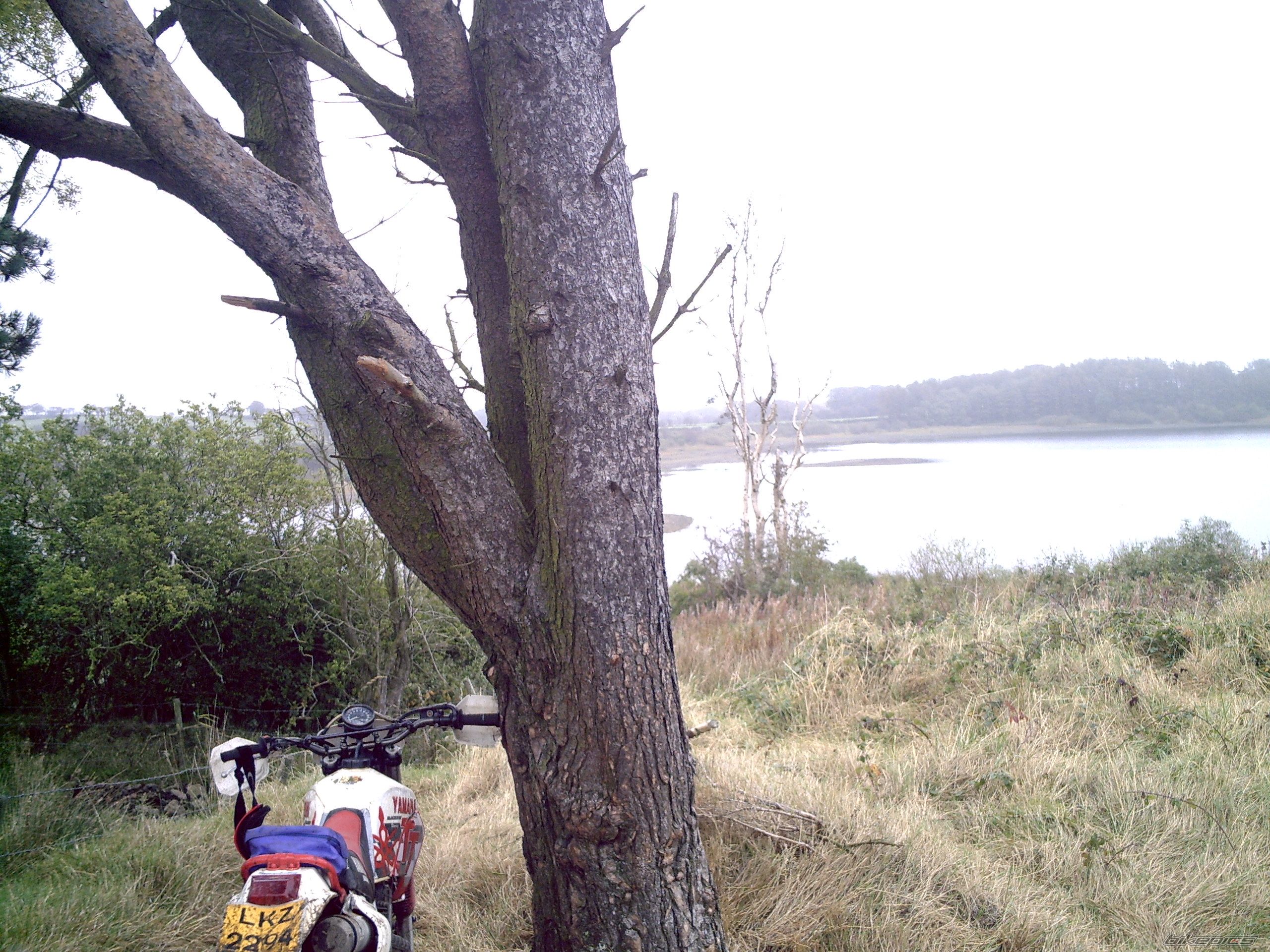 Photo 1052022