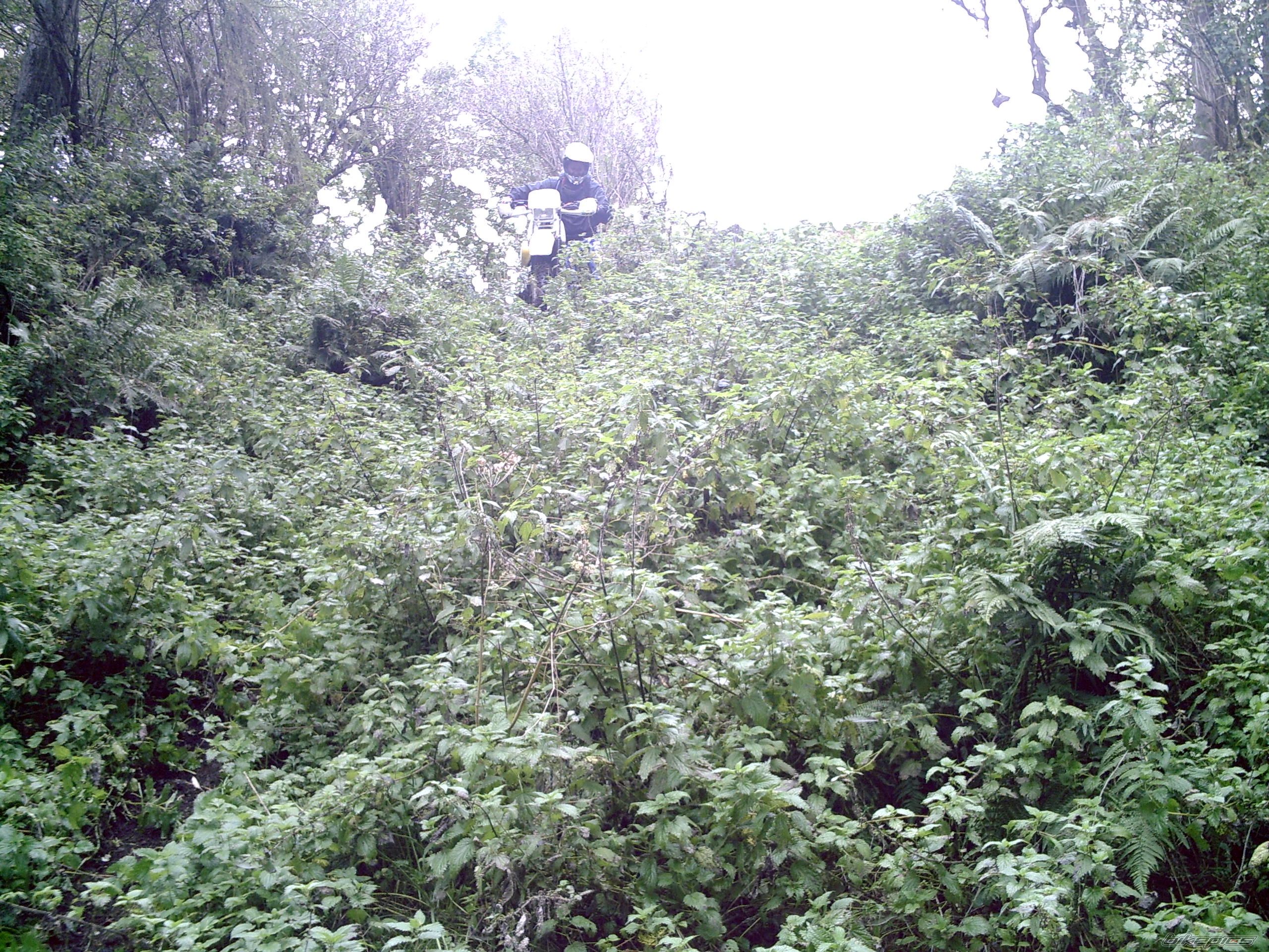 Photo 1052032