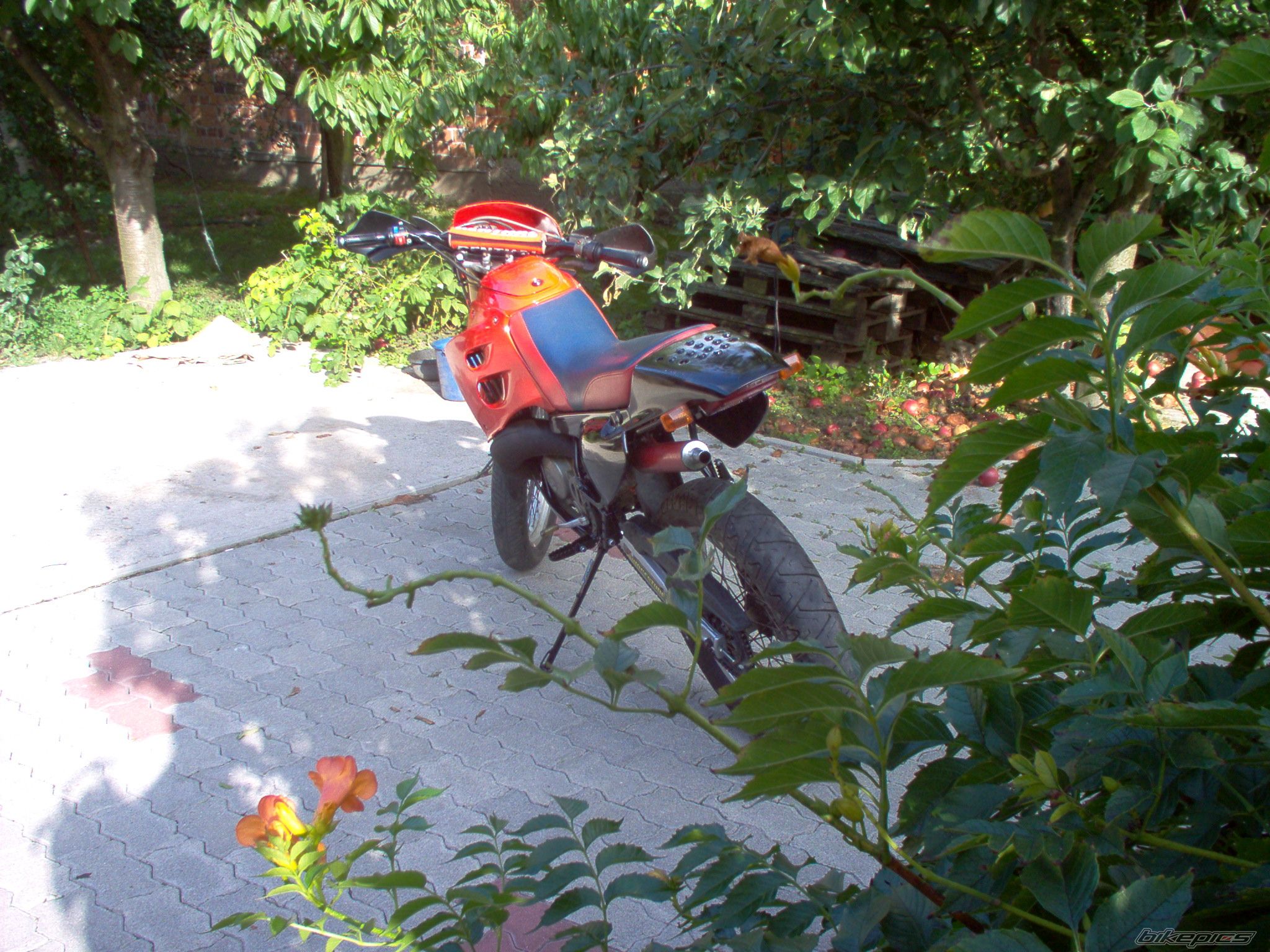 Bike Photo 1052098