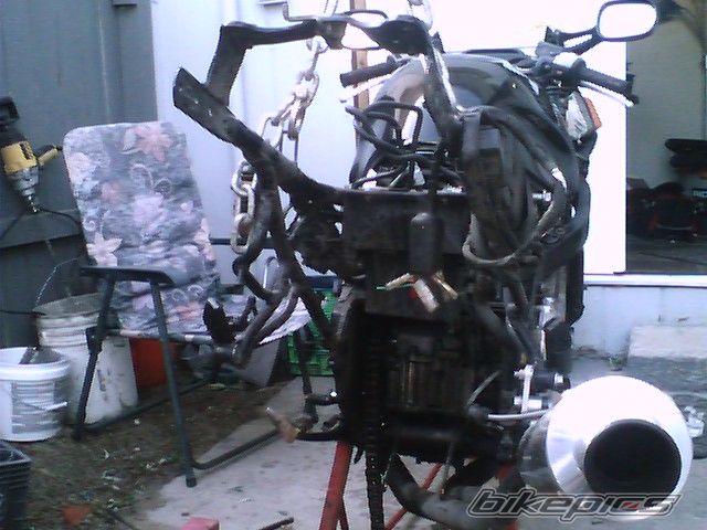 Photo 1052181