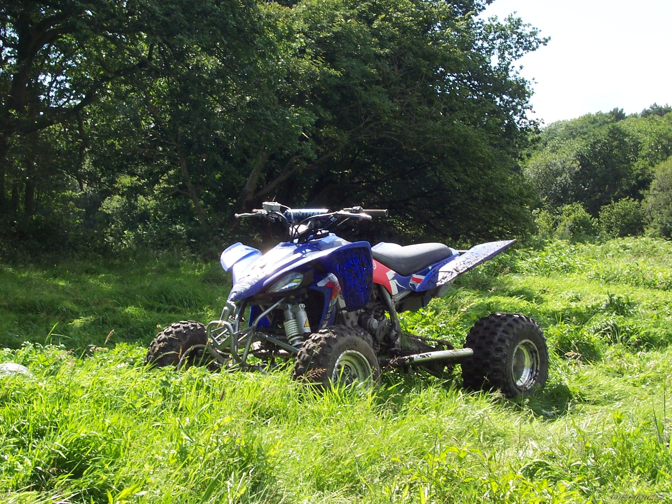 Photo 1052191