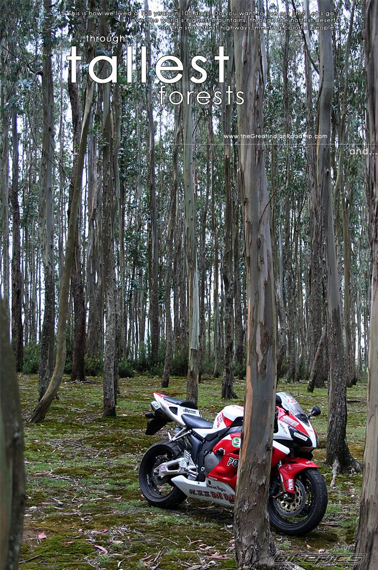 Bike Photo 1052461