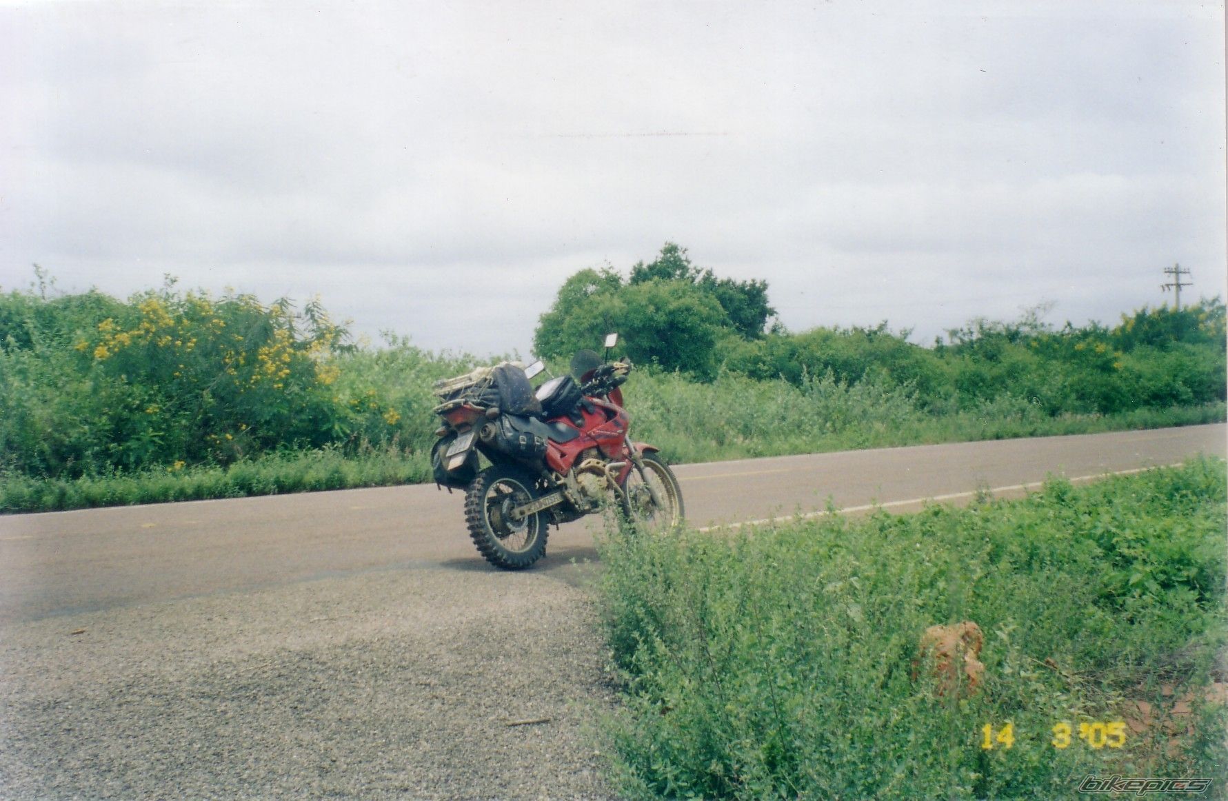 Bike Photo 1052489