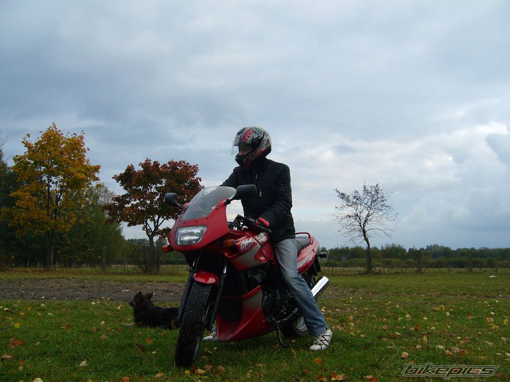 Bike Photo 1052602