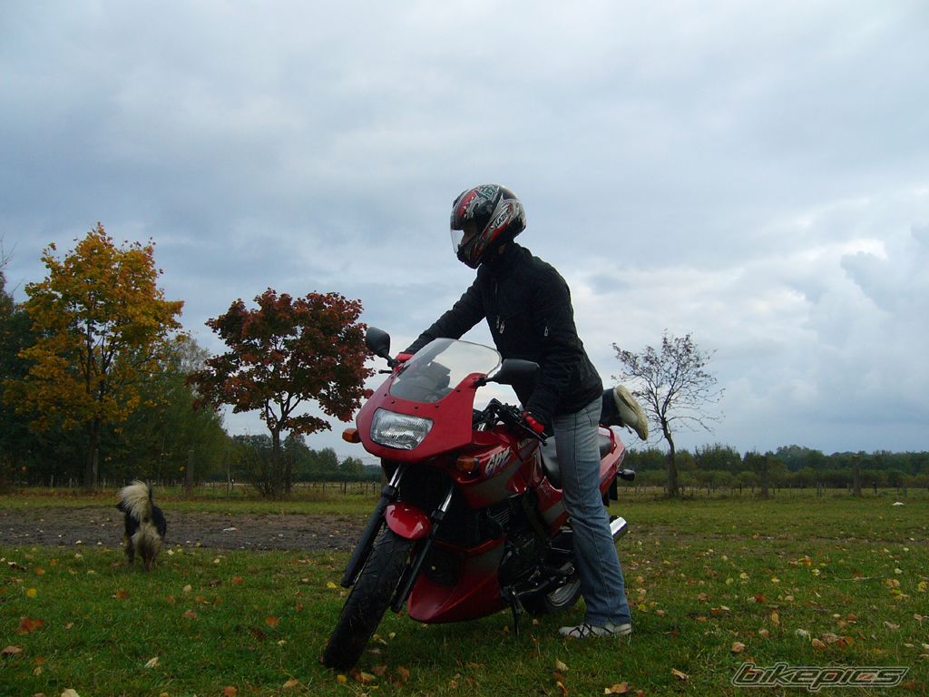 Photo 1052603