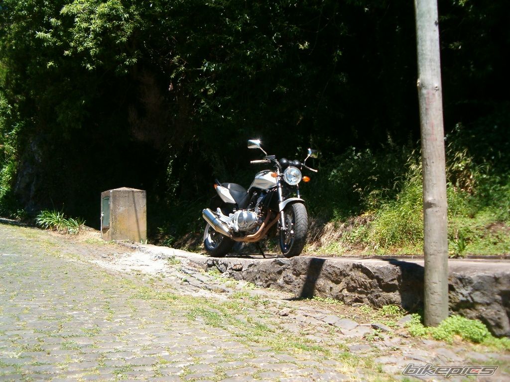 Photo 1052655