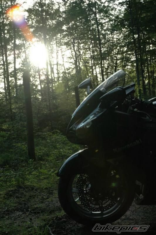 Bike Photo 1052732