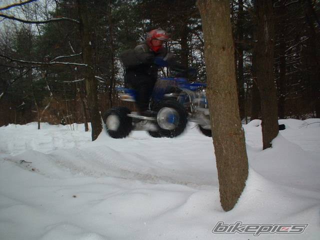 Photo 105280
