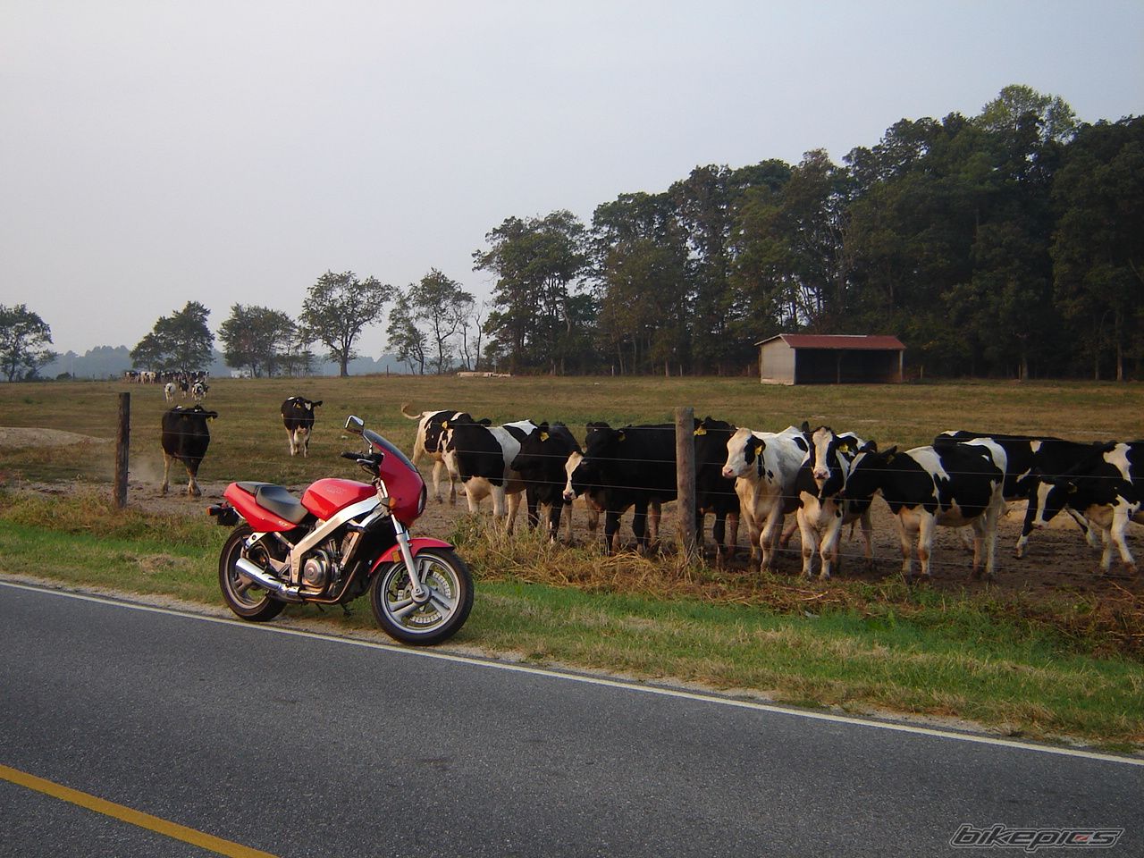 Photo 1053121