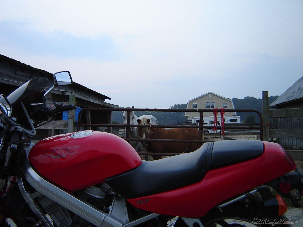 Photo 1053124