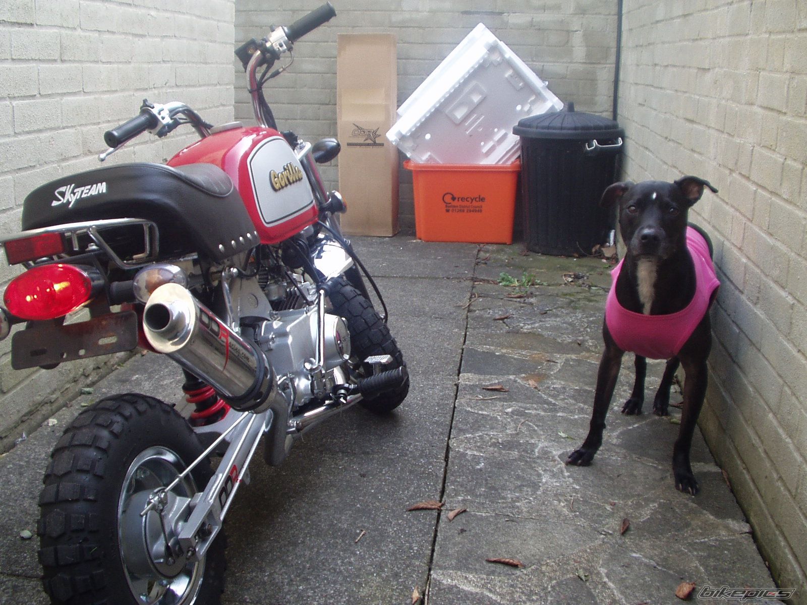 Photo 1053349