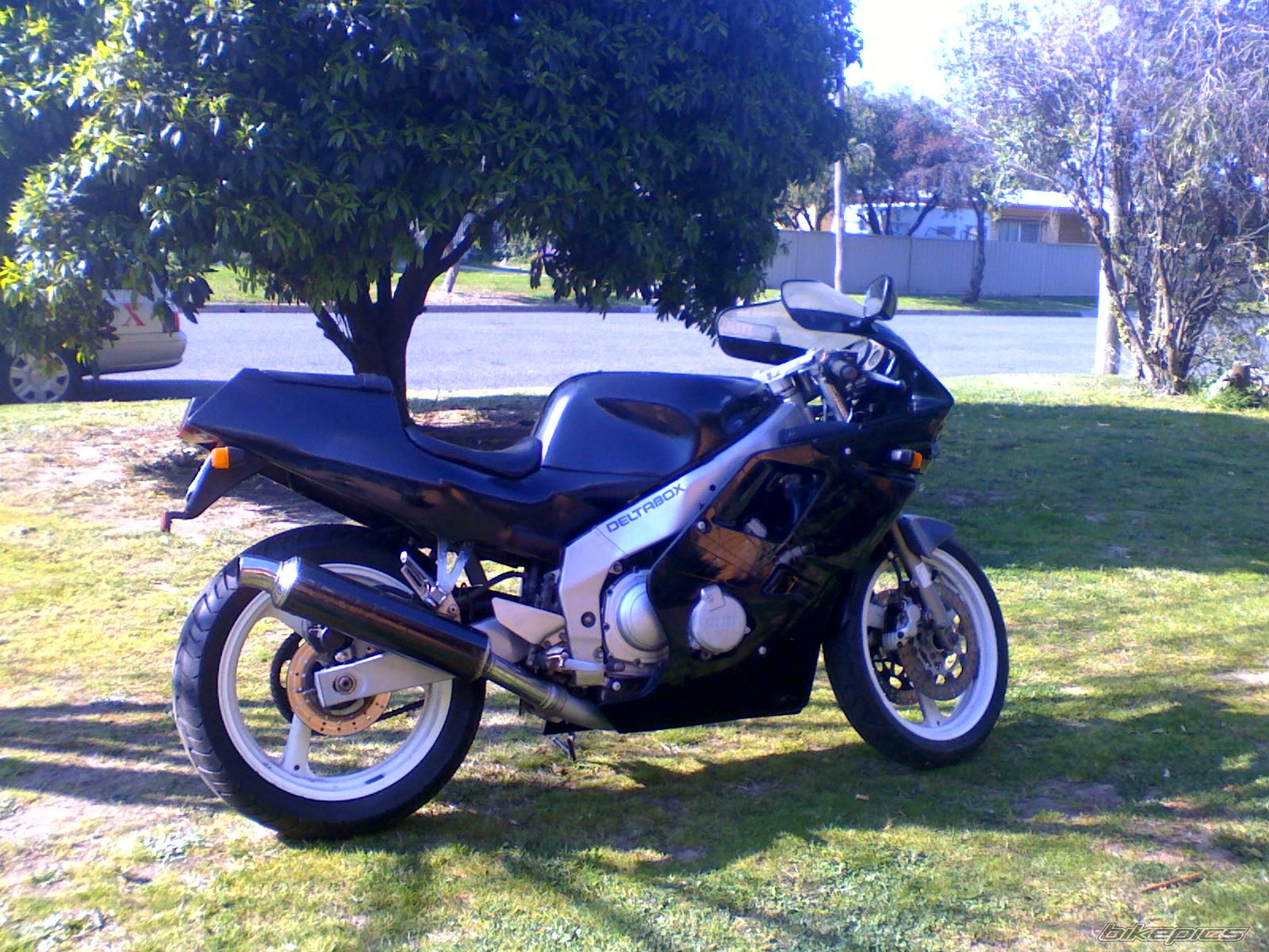 Photo 1053994