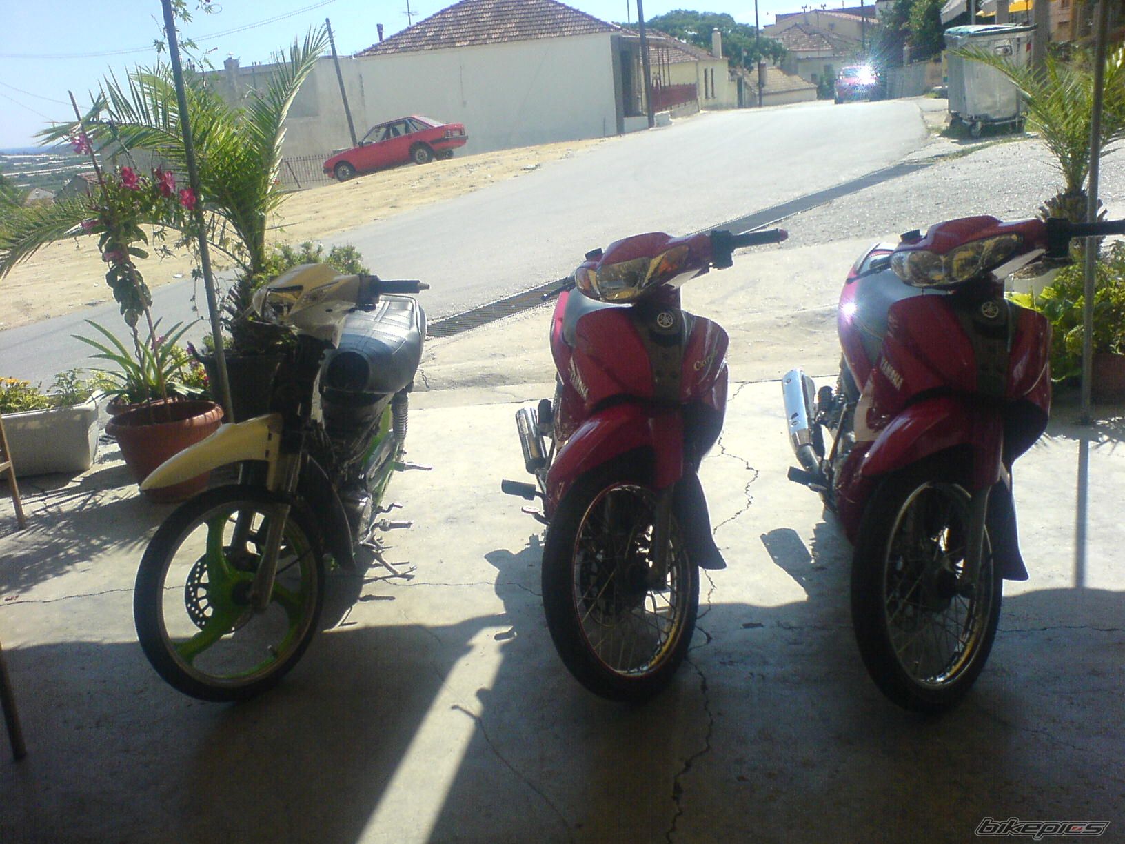 Photo 1054149