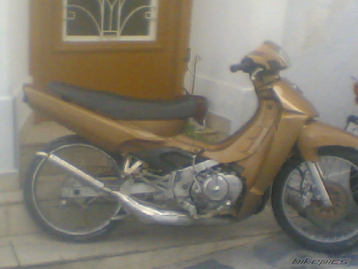 Photo 1054269