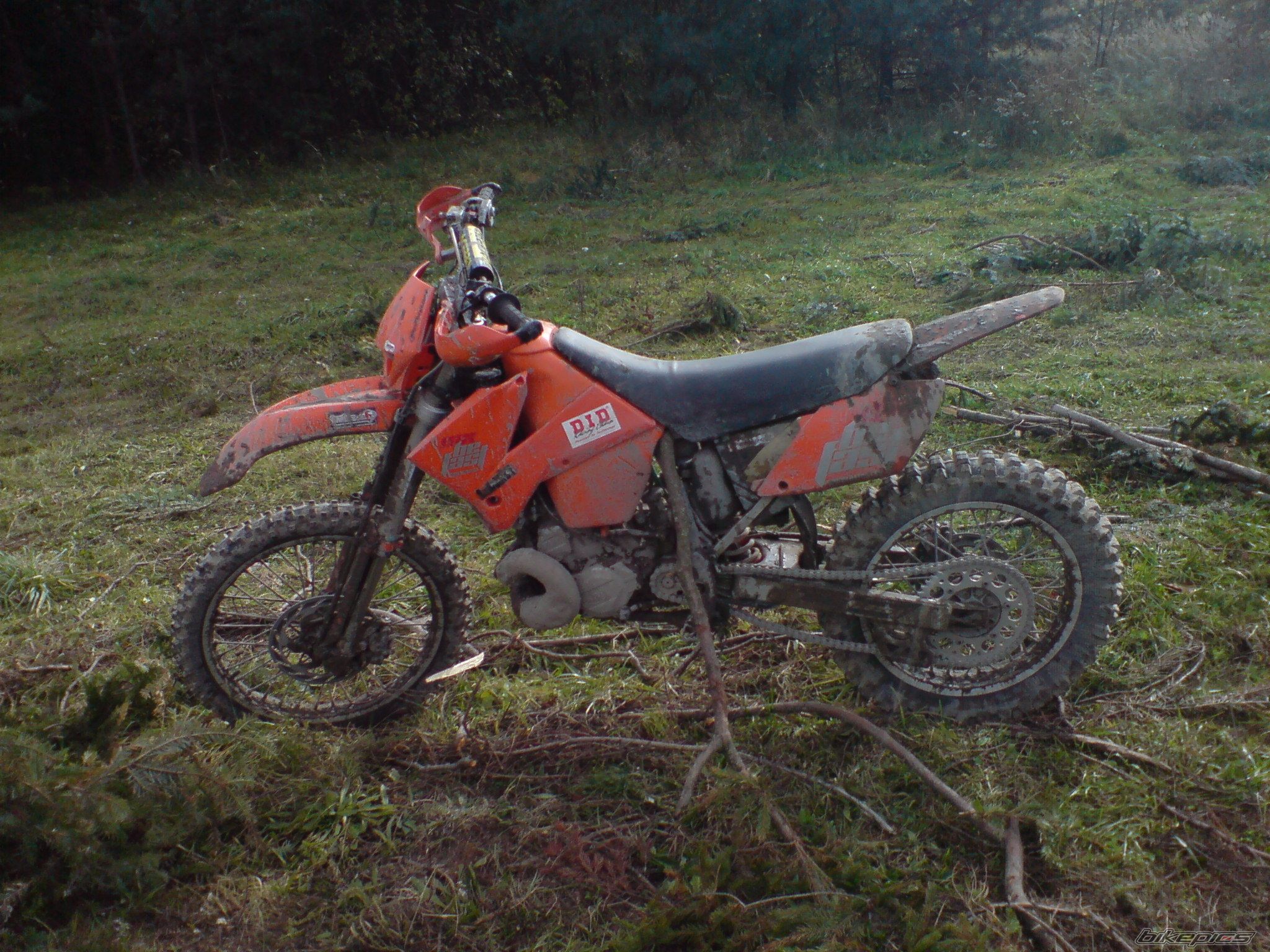 Photo 1054338