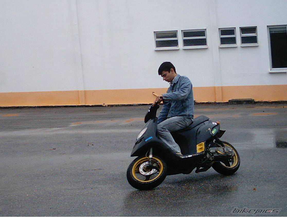 Photo 105446