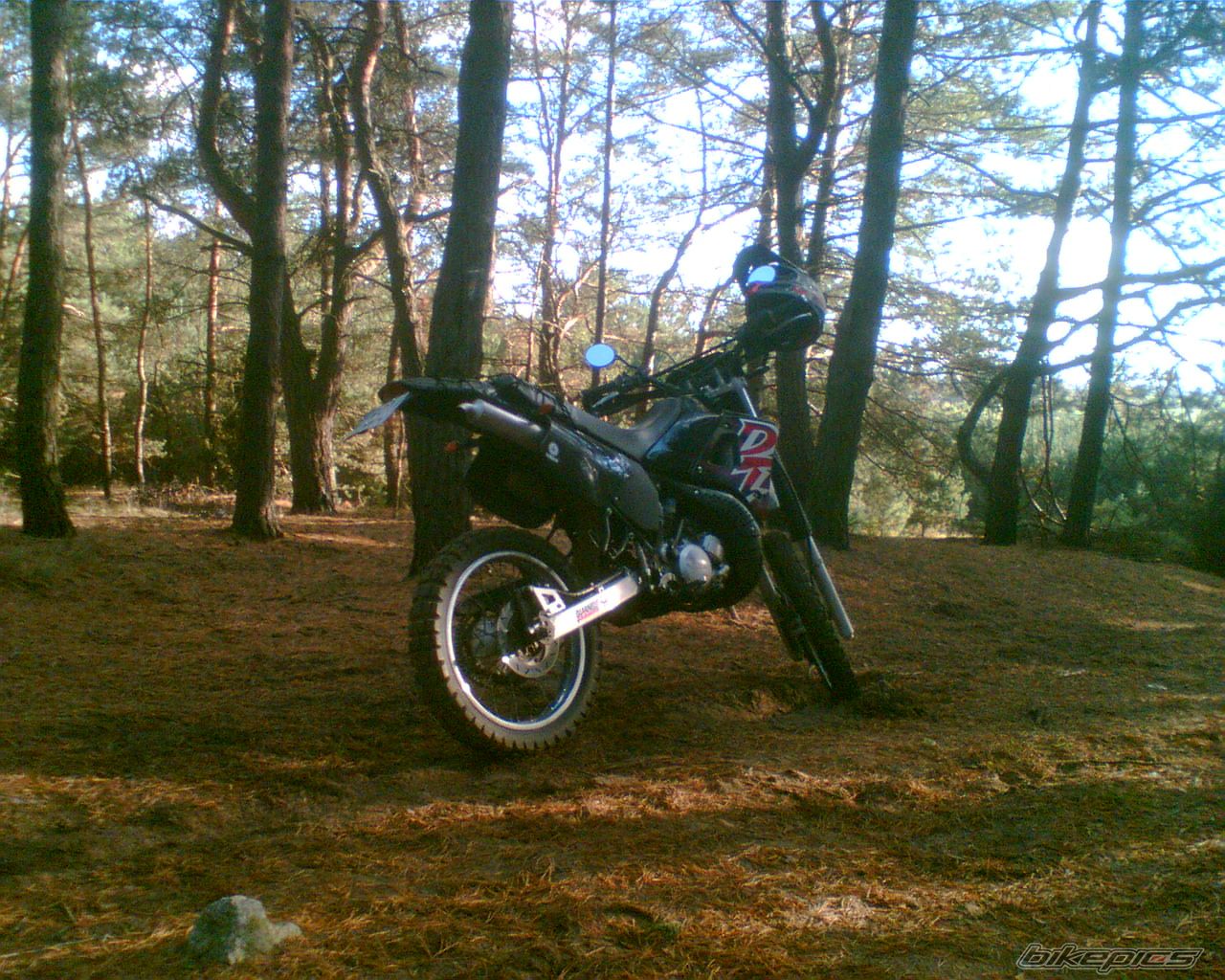 Photo 1054533