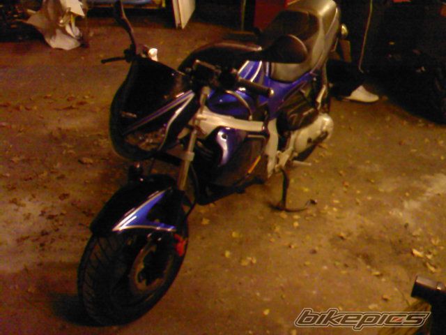 Photo 1054856